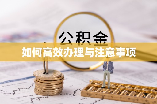 溪湖如何高效办理与注意事项