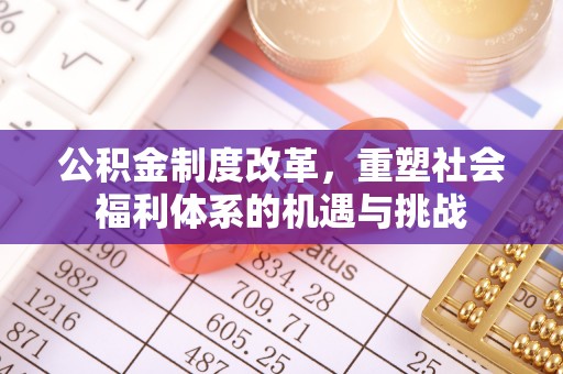 溪湖公积金制度改革，重塑社会福利体系的机遇与挑战