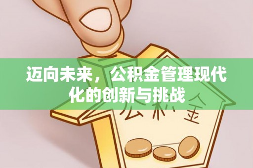 溪湖迈向未来，公积金管理现代化的创新与挑战