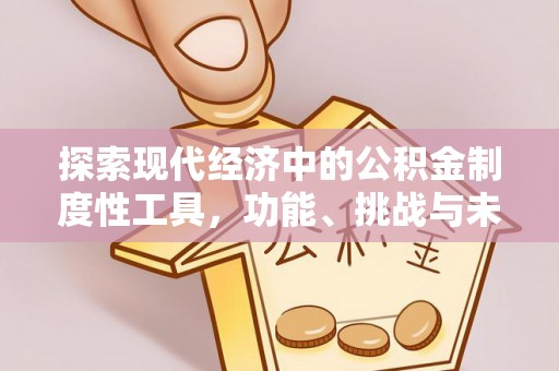溪湖探索现代经济中的公积金制度性工具，功能、挑战与未来