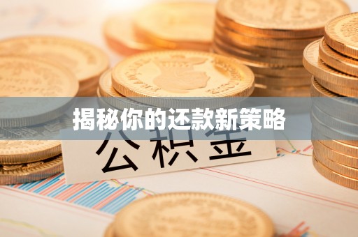 溪湖揭秘你的还款新策略