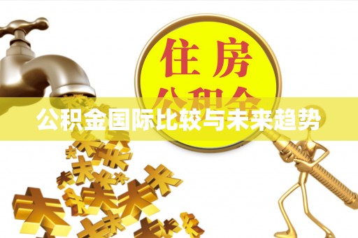 溪湖公积金国际比较与未来趋势