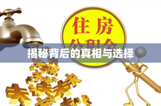 溪湖揭秘背后的真相与选择