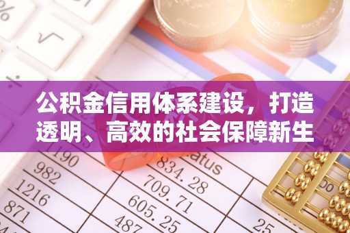 溪湖公积金信用体系建设，打造透明、高效的社会保障新生态