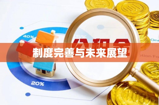 溪湖制度完善与未来展望