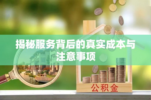 溪湖揭秘服务背后的真实成本与注意事项