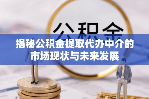 溪湖揭秘公积金提取代办中介的市场现状与未来发展