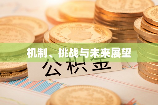 溪湖机制、挑战与未来展望